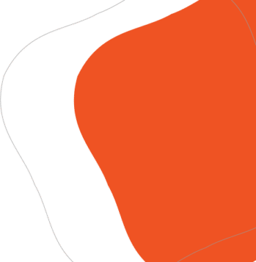 Decorative section graphic